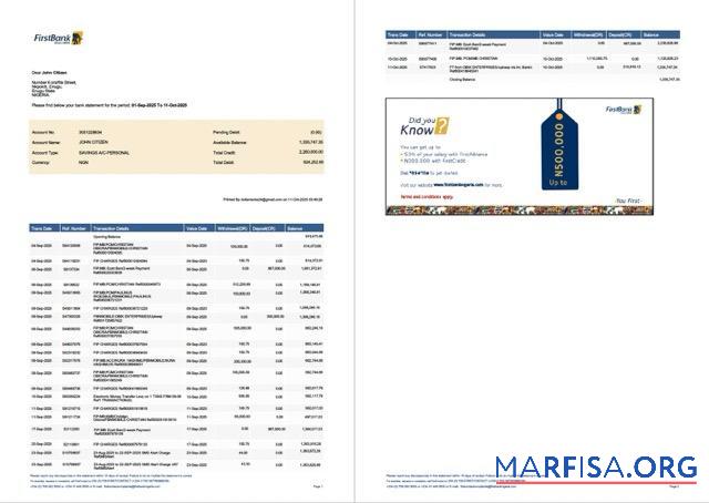 Blank Nigeria First Bank account statement word 2 pages, version 2 download for verification